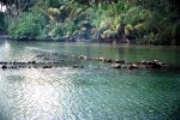 Trampa para peces / Parc à poisons, lago / Lac Fauna Nui